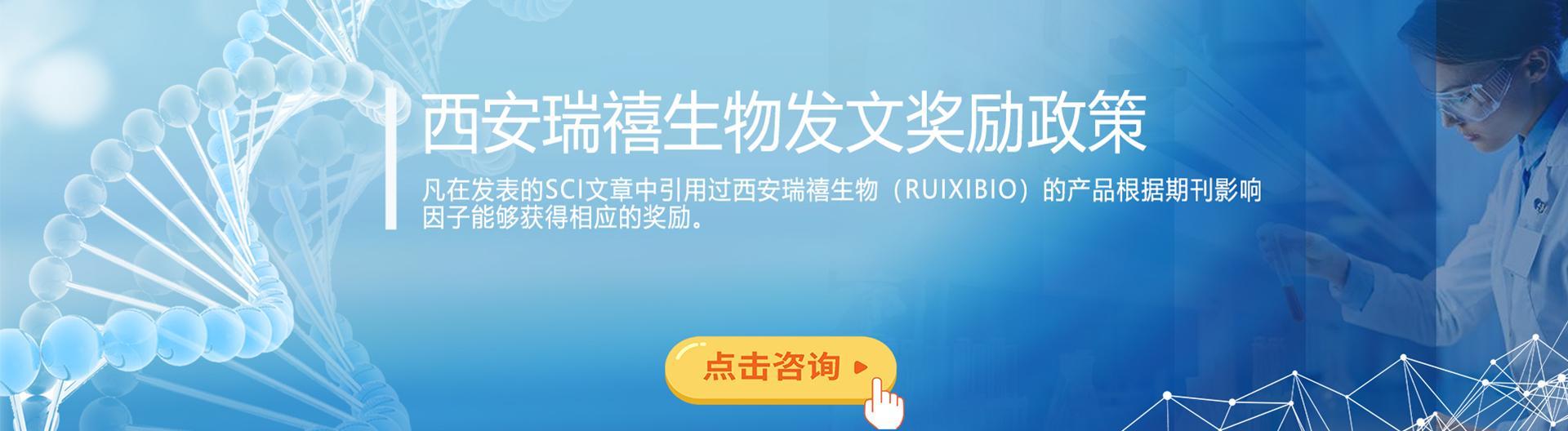 发文章获奖励政策