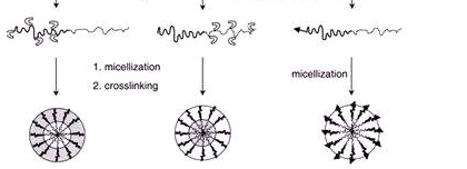 NH2化PLGA微球包载药物，氨基化聚乳酸-羟基乙酸共聚物微球包载药物，NH2-PLGA