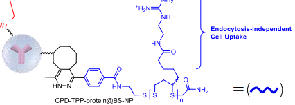 黑洞猝灭剂BHQ2,BHQ3标记dCTP，BHQ标记三磷酸脱氧胞苷钠盐