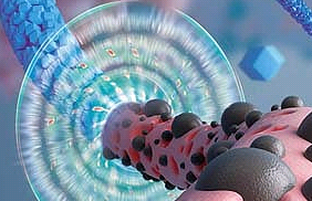 磁性阿霉素脂质体纳米颗粒    （齐岳生物分享）