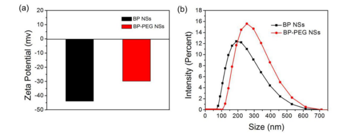 黑磷纳米片(BP NSs)