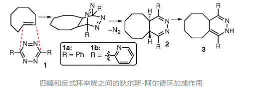 点击化学四嗪（tetrazine）和反式环辛烯（TCO）的抗**策略试验