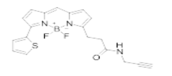 BDP 558/568 alkyne.png