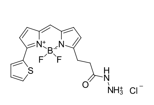 BDP 558/568 hydrazide.png