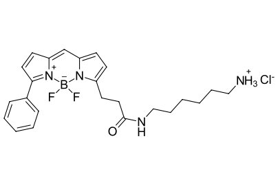 BDP R6G amine,cas2183473-06-3 (hydrochloride), 2183473-05-2.png