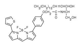 BODIPY  TR 神经酰胺.png