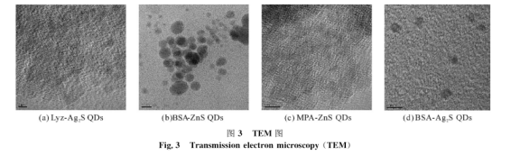 BSA-Ag2SQDs。Lyz-AgzSQDs、BSA-ZnSQDs、MPA-ZnSQDs