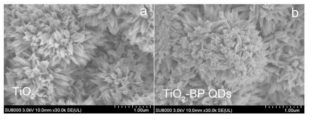 二氧化钛/黑磷量子点复合材料(TiO2/BPQDs).png