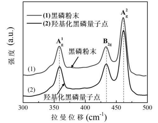 羟基化黑磷量子点(BPQDs)水基溶液.png