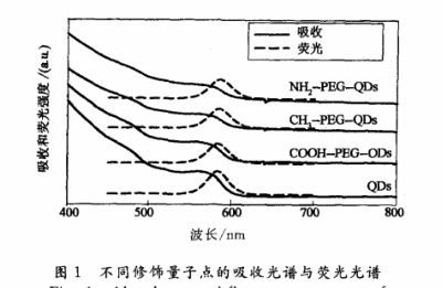 NH2-PEG-QDs