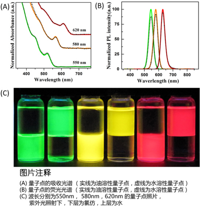 水溶性CdSe/ZnS量子点.png