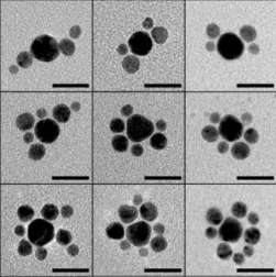 金纳米颗粒通过修饰DNA.png