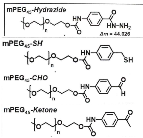 mPEG45-Ketone.png