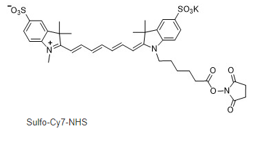 Sulfo CY7-NHS.png