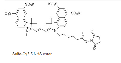 Sulfo cy3.5 NHS ester.png