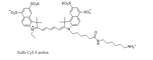 sulfo-Cyanine5.5 amine.png