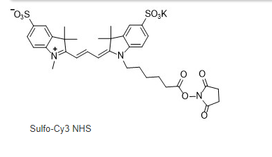 Sulfo-Cyanine3 NHS ester.png