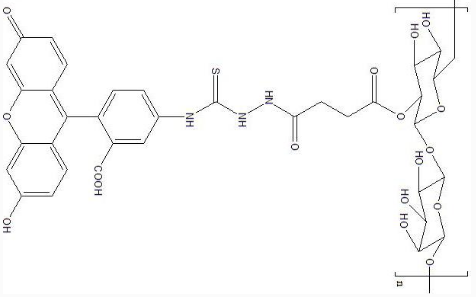 FITC-Dextran|荧光标记葡聚糖(葡聚糖分子量可选).png