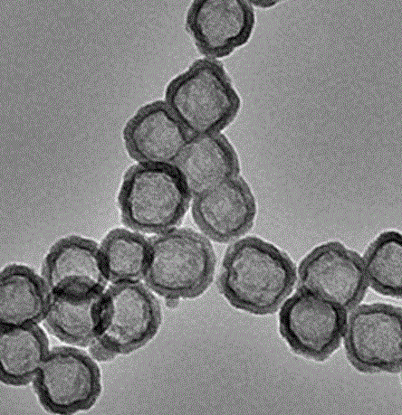 羧基化介孔二氧化硅（5μm）