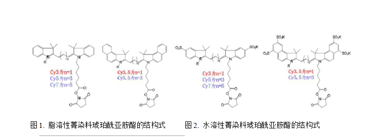 Cy3,Cy5和Cy7菁染料的激发波长光谱图