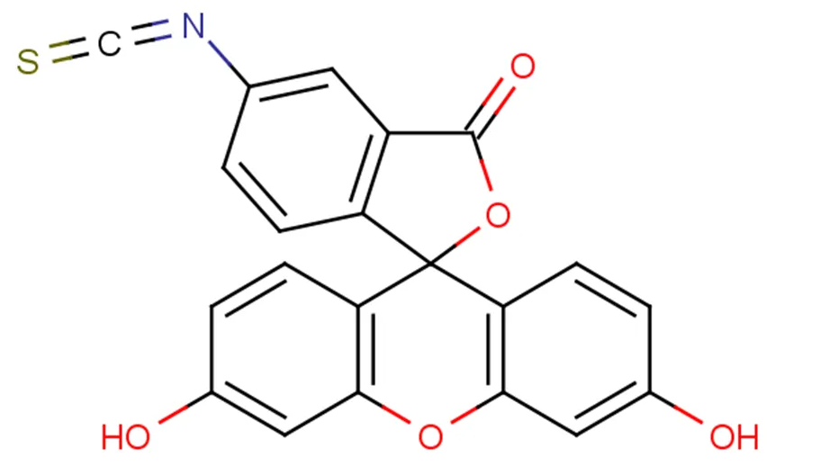 FITC荧光标记