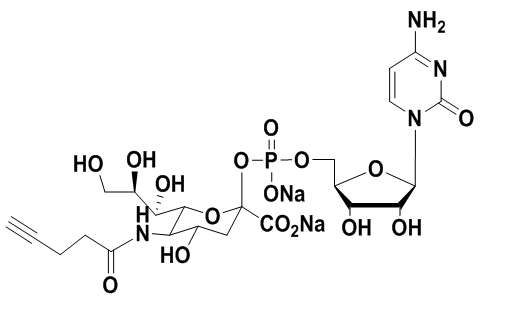 CMP-C9-Azido-Sialic Acid，5'-单磷酸胞苷修饰叠氮糖