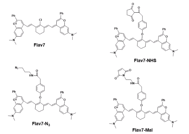 Flav7-NHS ester 