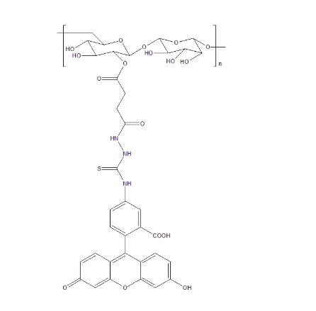 Dextran-Fluorescein