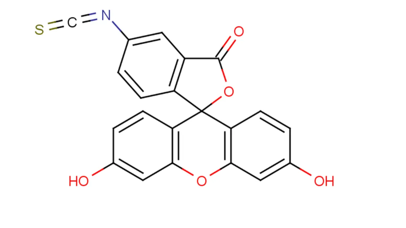 FITC-Dextran