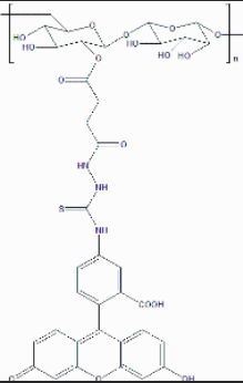 FITC-dextran