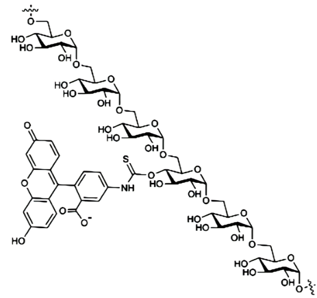 FITC-dextran