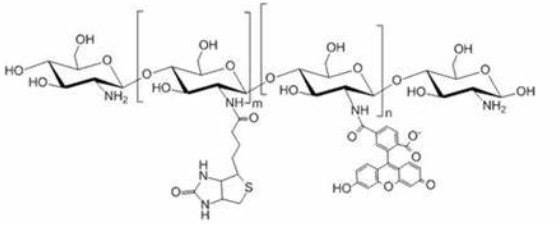 FITC-Chitosan