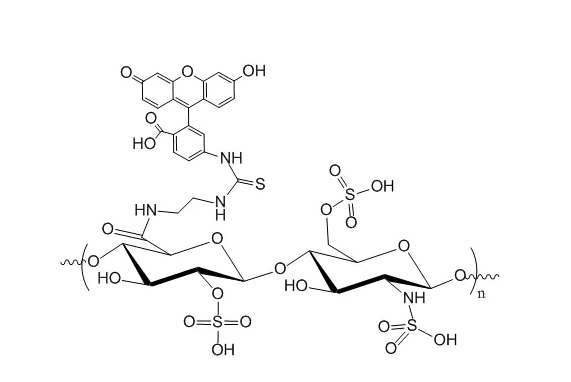 FITC-Chitosan