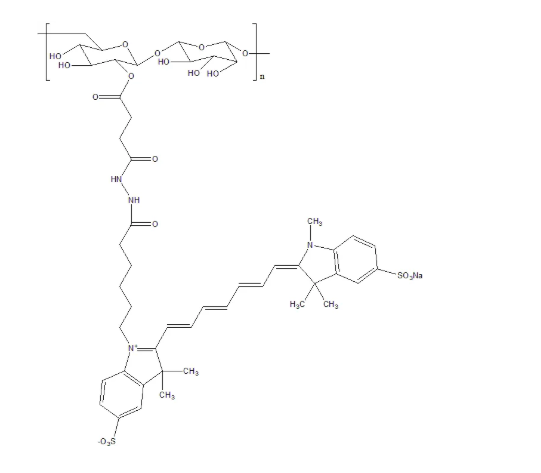 CY7-Dextran