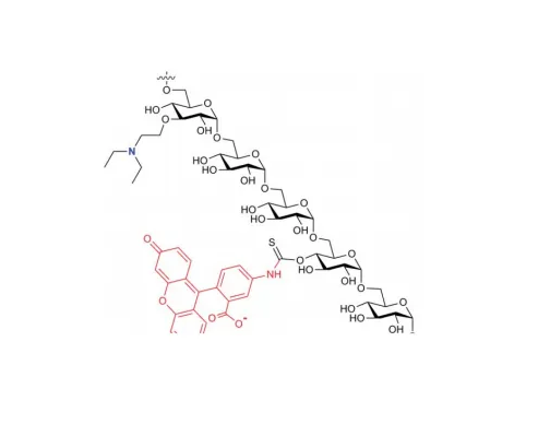 罗丹明标记葡聚糖