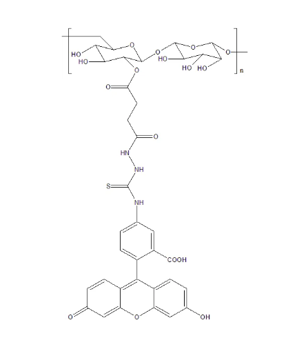 FITC-Dextran