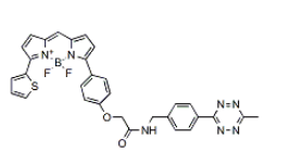 BDP TR methyltetrazine