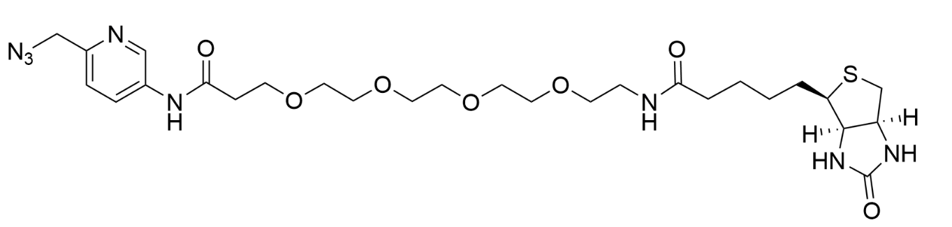 Biotin Picolyl Azide