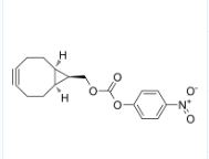 BCN-PNP(endo)