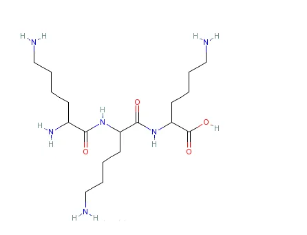 多聚-L-赖氨酸