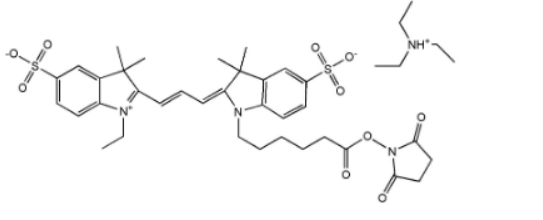 Cyanine3 NHS ester