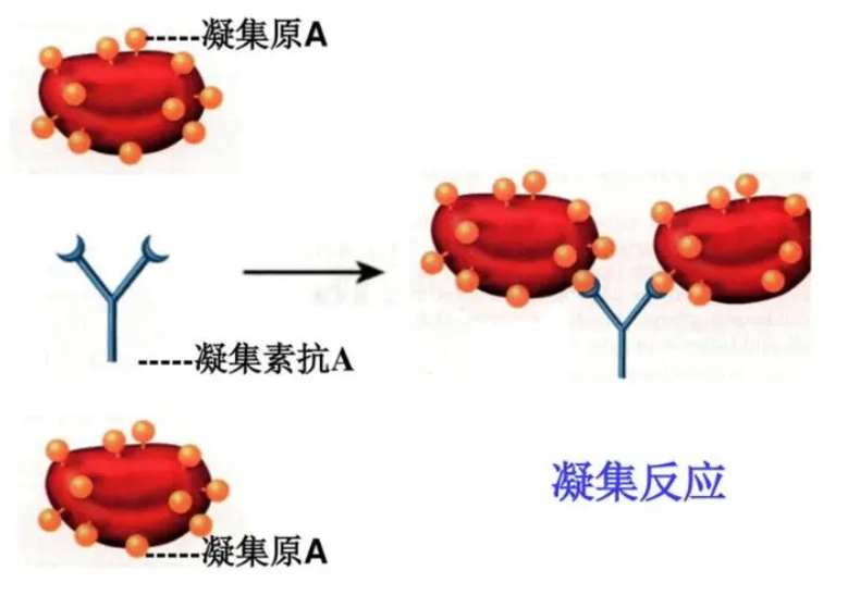 微信截图_20220426144038.png