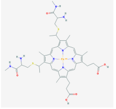 -Cytochrome c