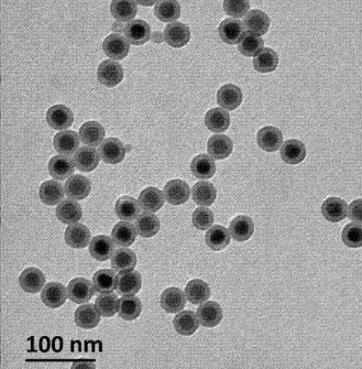 核壳结构上转换纳米粒