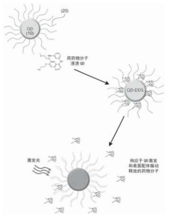 近红外二区量子点