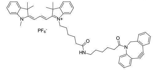 Cyanine3 DBCO,Cy3-二苯基环辛炔,cas:2692677-79-3