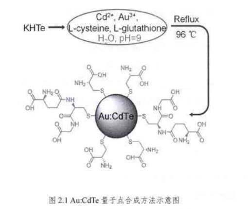 Au:CdTe量子点