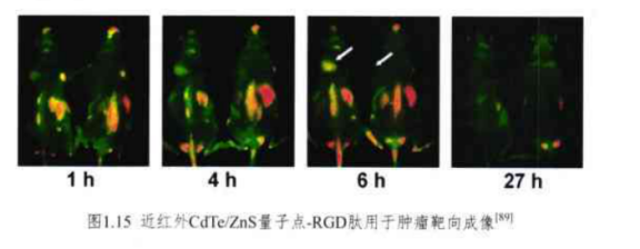 近红外CdTe/ZnS量子点-RGD肽