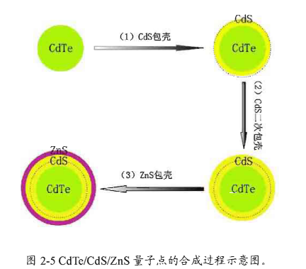 CdTe/CdS/ZnS核壳结构量子点