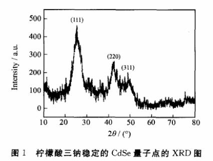 水溶性cdse量子点